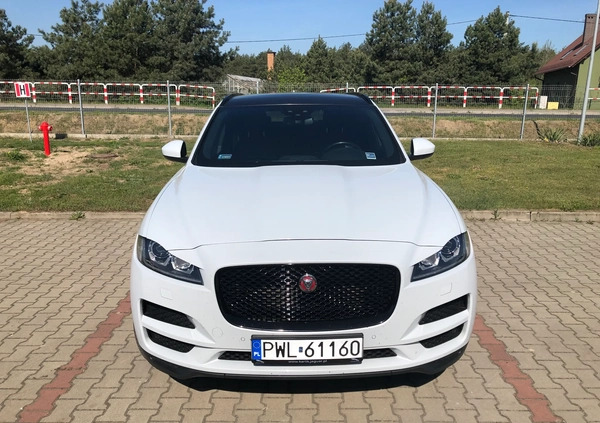 Jaguar F-Pace cena 130000 przebieg: 153400, rok produkcji 2018 z Osiek małe 46